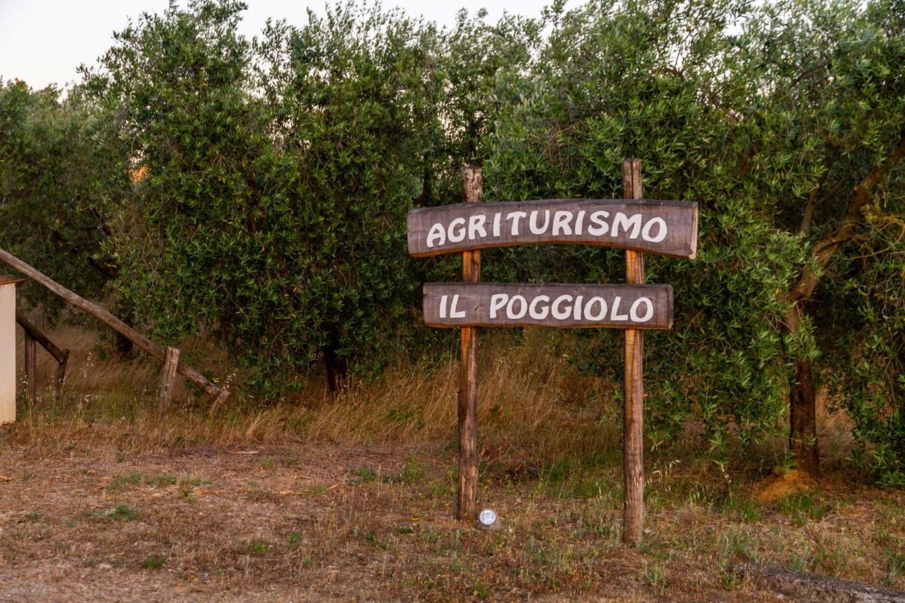 Agriturismo Il Poggiolo Villa โกรเซตโต ภายนอก รูปภาพ